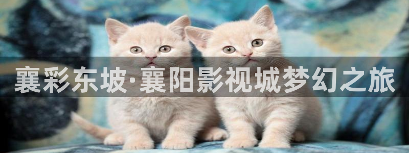 草莓69视频：襄彩东坡·襄阳影视城梦幻之旅