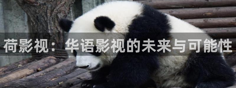 男人和女人69视频：荷影视：华语影视的未来与可能性