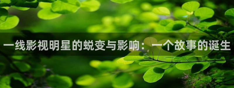 69视频i：一线影视明星的蜕变与影响：一个故事的诞生