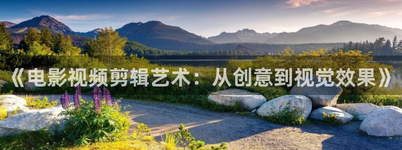 69视频在线免费观看：《电影视频剪辑艺术：从创意到视觉效果》