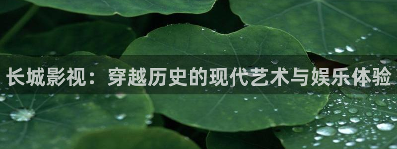 看69视频：长城影视：穿越历史的现代艺术与娱乐体验
