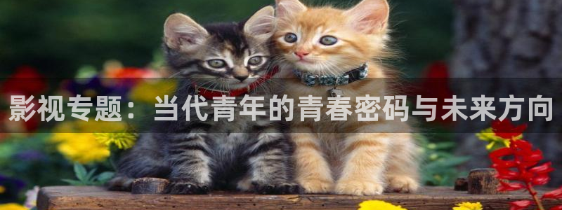 国产精品69视频：影视专题：当代青年的青春密码与未来方向